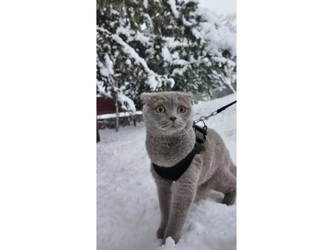 Dünya tatlısı kızımız