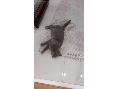 1 defa doğum yapmış 2 yaşında