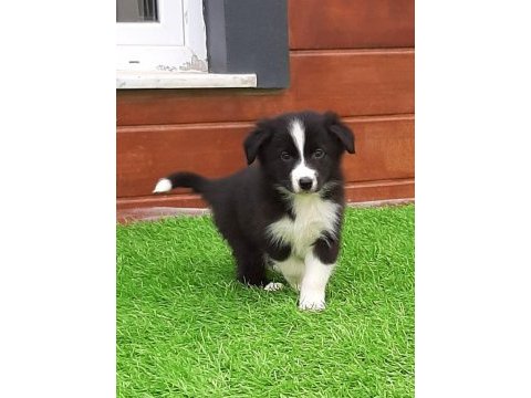 Eşsiz bir deneyim için bizi aramadan karar vermeyn