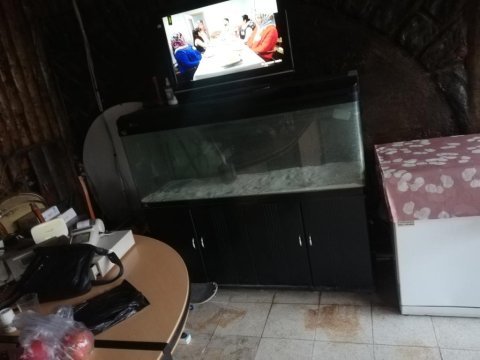Sahibinden akvaryum zamanımız olmadığı için satılıktır
