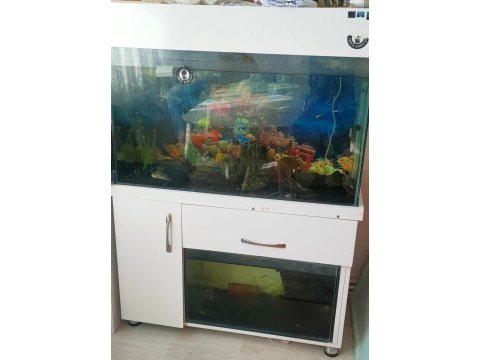 Acil satılık akvaryum 100 cm iki katlı mobilyalı
