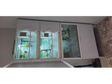 3 katlı üretim kafesi sıfır ayarında muhabbet kuşu