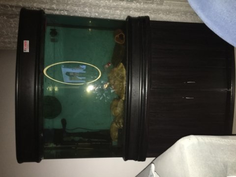 Satılık ithal temiz mobilyalı akvaryum full+full