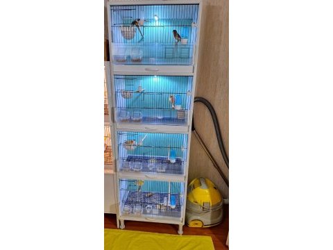 Pvc kafes