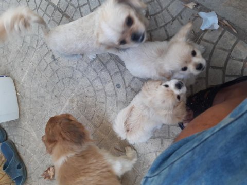 3 aylık bebeklerim anne baba anneanne bende