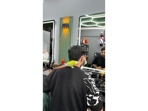 Çift ve sağlıklı ve eğitimli konur papağanı
