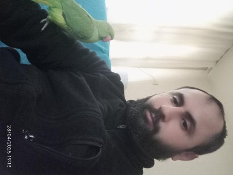 Pakistan papağanımız alışık kuşumuz