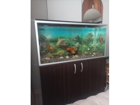 Akvaryum ve dolap 1 m . 50 cm boy 40 cm en