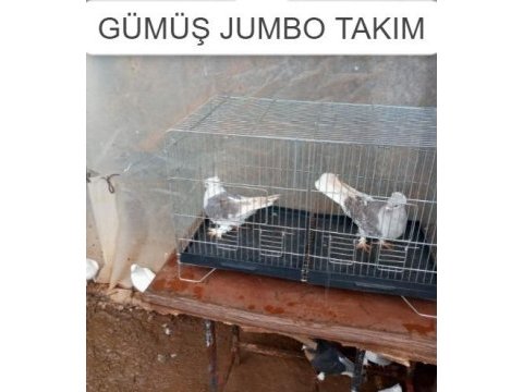 Gümüş jumbo takım