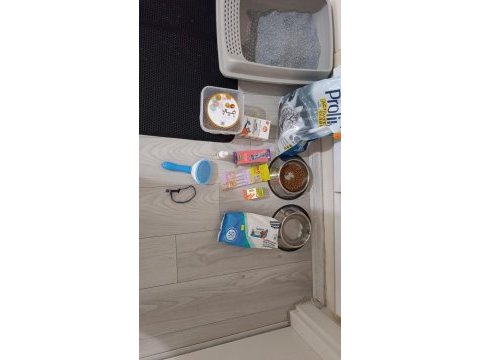 Ücretsiz kedimizi sahiplendirme eşya alım şartlı