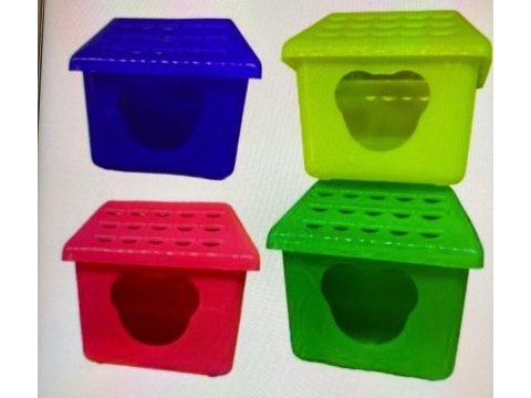 Aynı gün eve teslim hamster siz isteyin biz getirelim