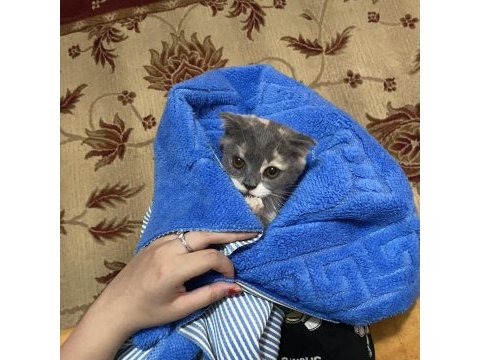 Tam eşyalı uygun fiyat kedimiz