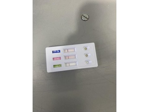 1 buçuk kg olacak bichon frise (uygun)