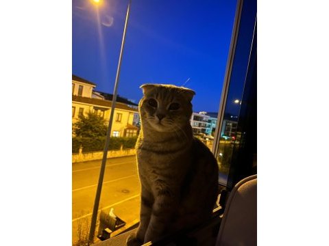 Tatlı oğlumuza yuva arıyoruz