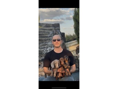 Harika kalitede sosis köpekler yurtdışından geldiler