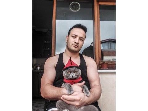 Erkek british kedimiz ücretsiz