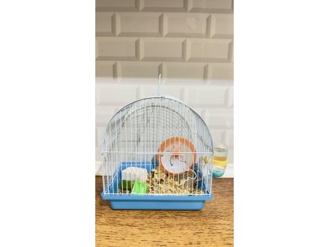Hamster satılık