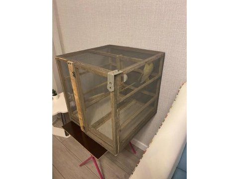 50x50x50 kuş kafesi