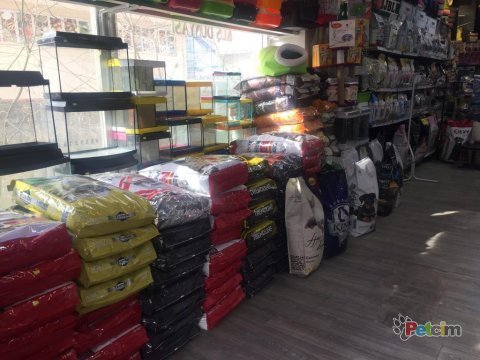 Akvaryum ile ilgili herşey burada