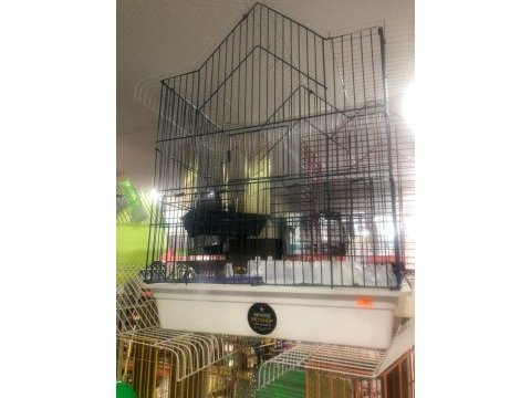 Sevda papağanlarımız isteyene kafeslerle verilir kampanya