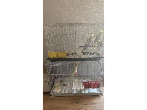 Bebek sultan yeme düştü çok güzel takım olarak