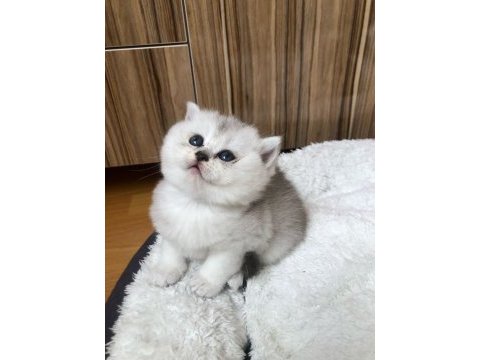 Kaliteden anlayan müşterilerimize özel