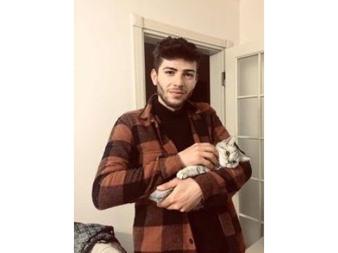3 aylık yavru british shorthair kedimizin kum eğitimi var