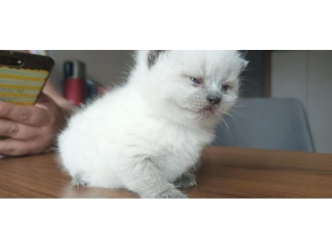Bebi kızımız yeni yuvaya hazırlanıyor