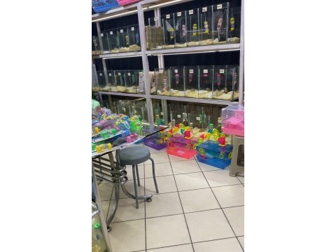 Kampanyalı kafes ve hamster doğru adres