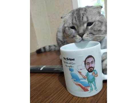 Dünyalar tatlısı ponçiğim scottish fold