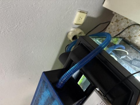 Akvaryum dış filtre balık