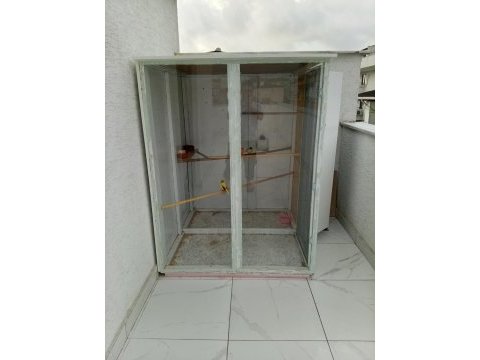 2 aylık kanaryalar