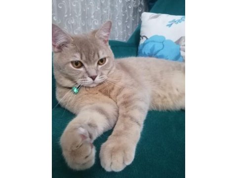 Uysal salep sahibini bekliyor
