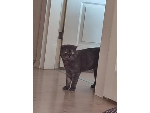Oğlunun adı ares