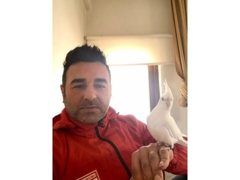 Sultan papağanımız albino