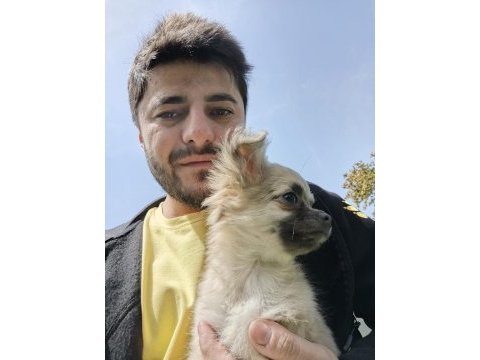 Tam şapşik bu şivava