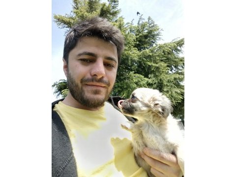 Tam şapşik bu şivava