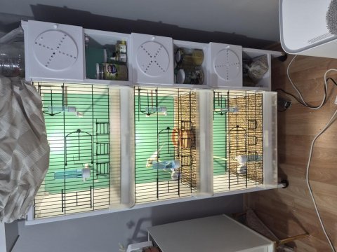 3 katlı pvc kafes fırsat