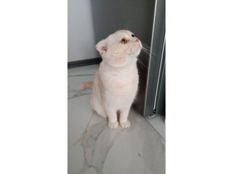 Dünyaya gelecek bebeğimiz için sahiplendirmek zorundayız