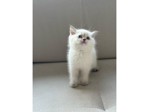 Kaliteden anlayan müşterilerimize özel