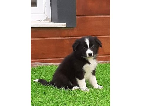 Eşsiz bir deneyim için bizi aramadan karar vermeyn