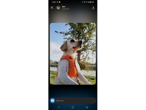 Köpeğimiz 2 kere terk edildi ömürlük yuvasını olun