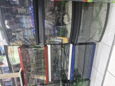 Plastik kapalı akvaryumlar