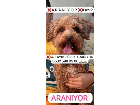Ankara batıkent kayıp aranıyor