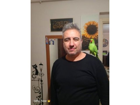 Varmı böylesi pakistan papağanı