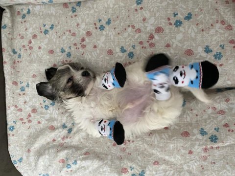 2 aylık bebeğime güzel bir yuva
