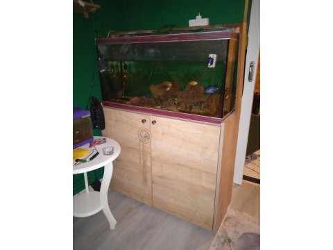 Mobilyalı akvaryum