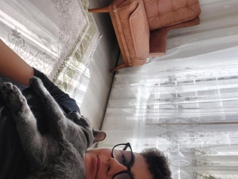 Anne british baba russian blue sağlıklı dişi 4 aylık