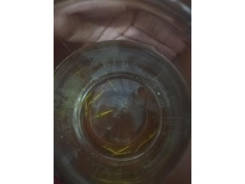Sarı ateş neon ve mavi karides