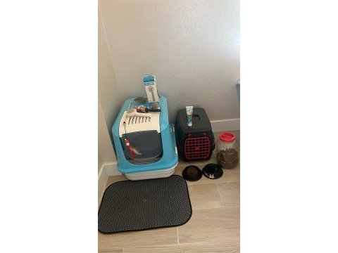 Minnos kedim guzel kizim sahiplendiriyoruz esyalariyla